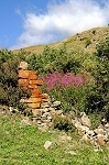 Le mur copie